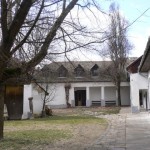 old trees in the back courtyard