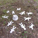 When too much plaster is made, it is usually thrown out...I made shapes with it, to see how much playing around can be done in a short time!